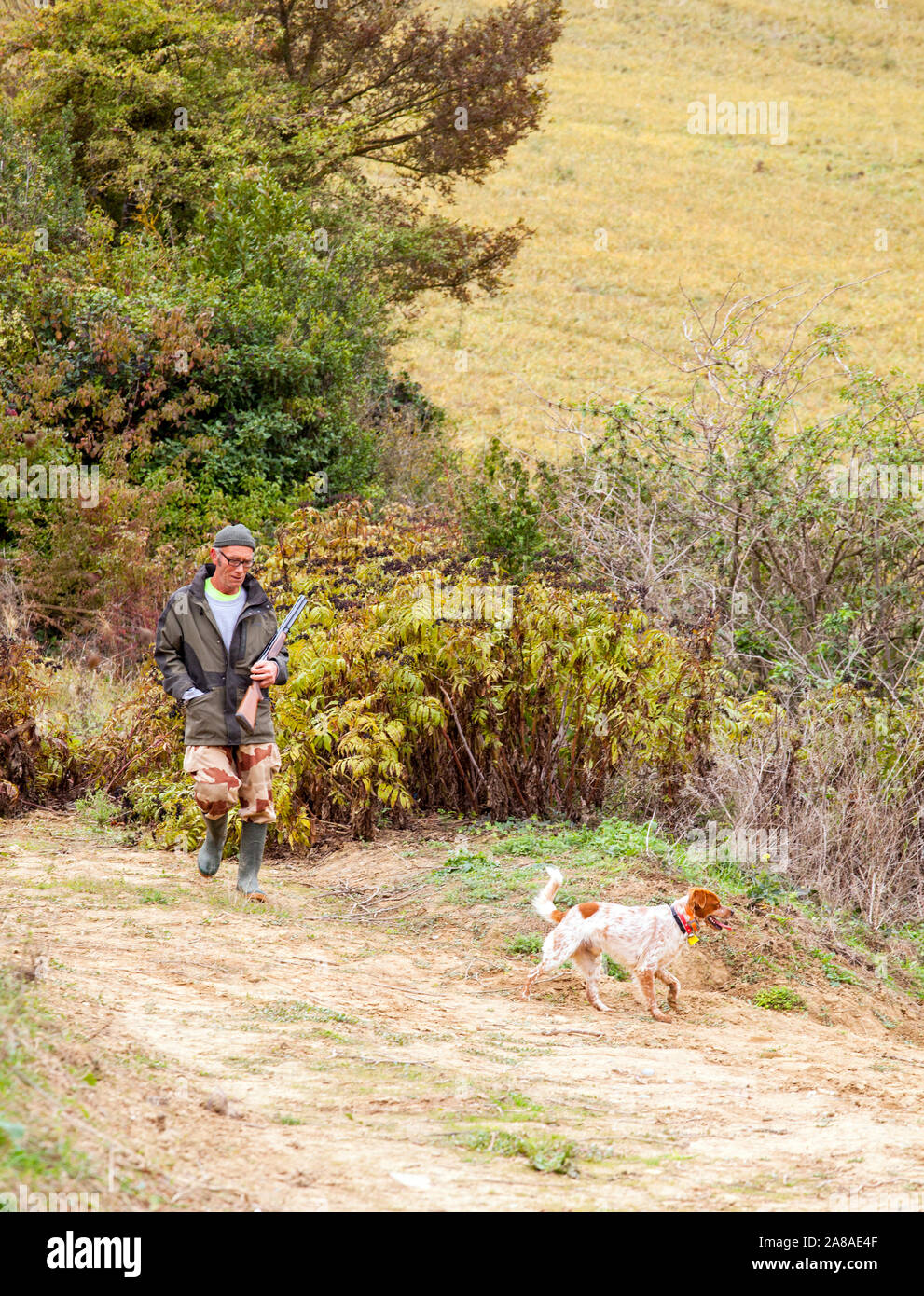 Il francese fuori la caccia con un fucile da caccia e il suo cane nella campagna francese nella regione Languedoc della Francia durante l'Autunno Foto Stock
