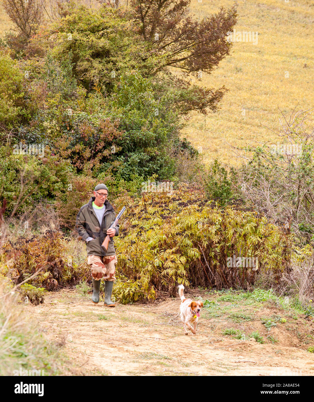 Il francese fuori la caccia con un fucile da caccia e il suo cane nella campagna francese nella regione Languedoc della Francia durante l'Autunno Foto Stock