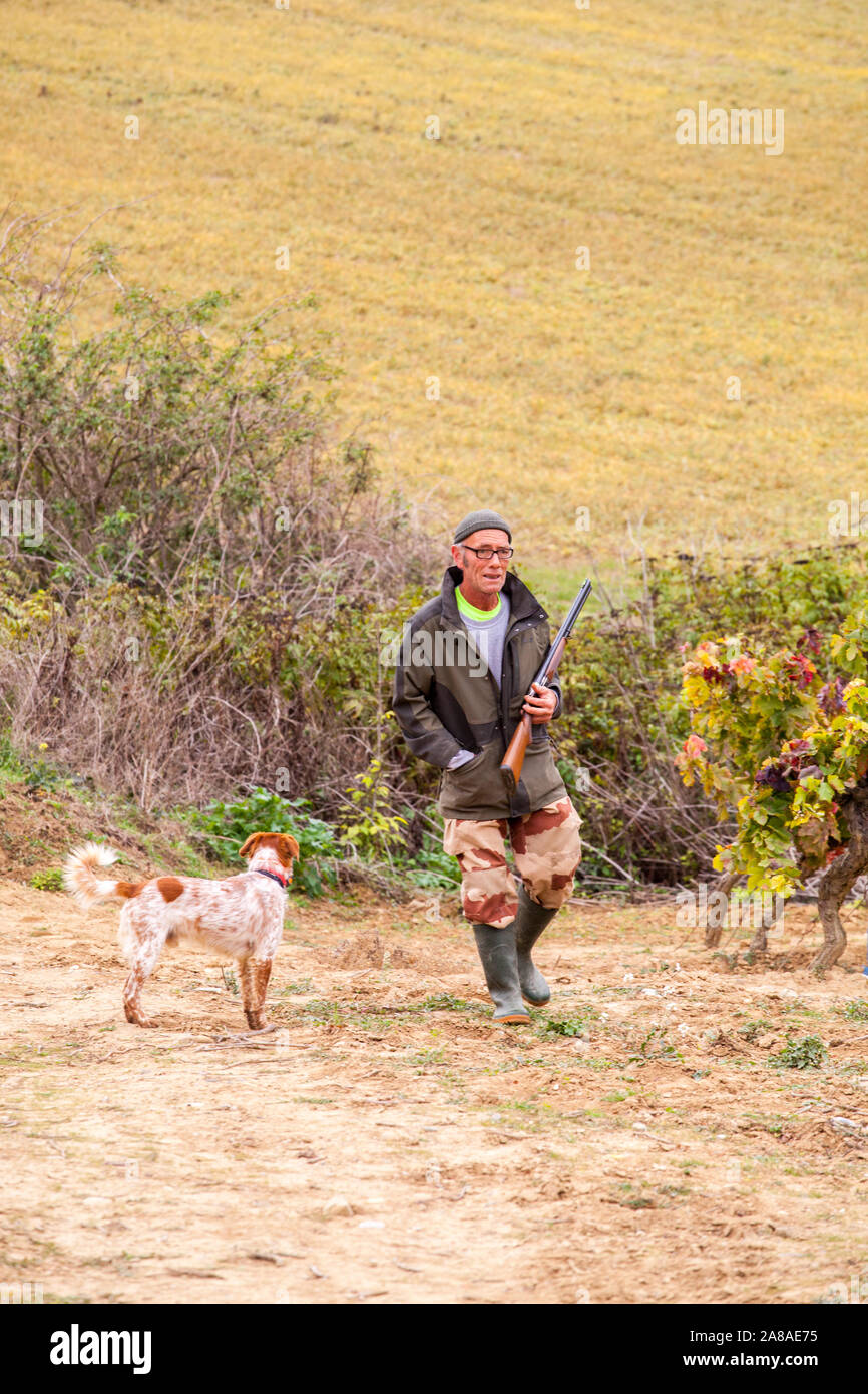 Il francese fuori la caccia con un fucile da caccia e il suo cane nella campagna francese nella regione Languedoc della Francia durante l'Autunno Foto Stock