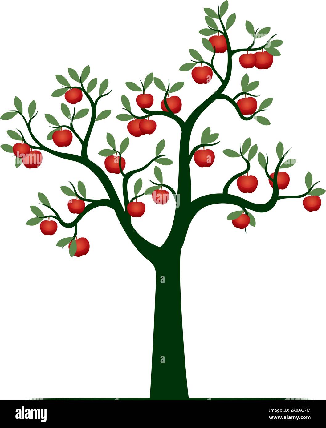 Verde Albero isolato su sfondo bianco. Rosso frutti di Apple. Illustrazione Vettoriale e concetto. Impianto in giardino. Illustrazione Vettoriale