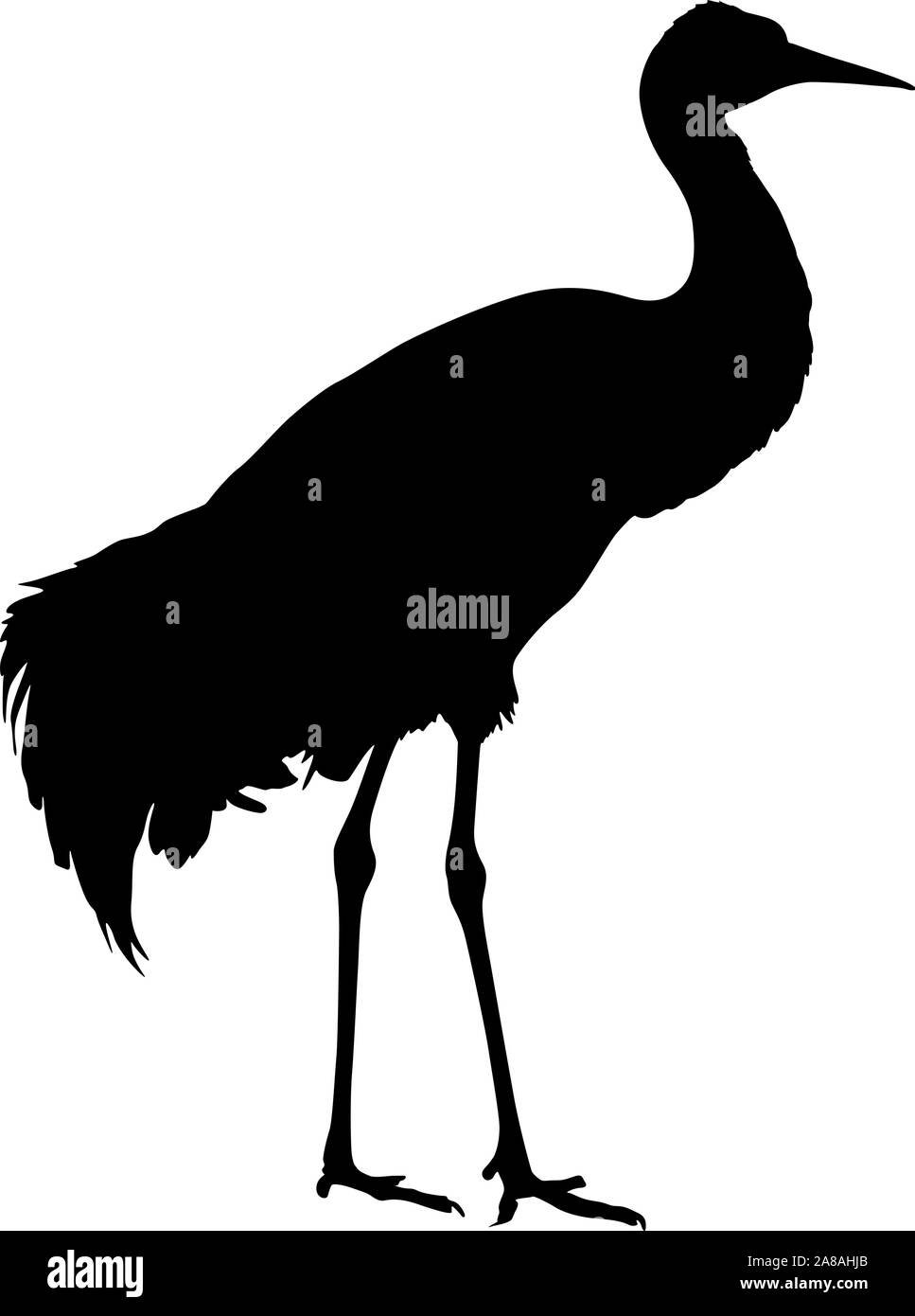 Silhouette bird gru su uno sfondo bianco. Illustrazione Vettoriale