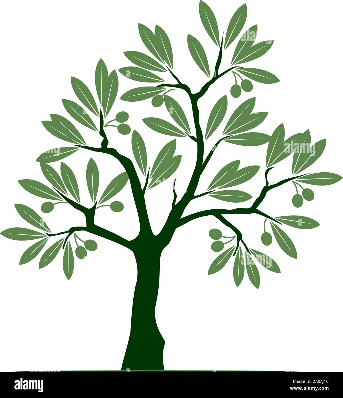 Verde Oliva isolato albero su sfondo bianco. Illustrazione Vettoriale e concetto pittogramma. Impianto in giardino. Illustrazione Vettoriale