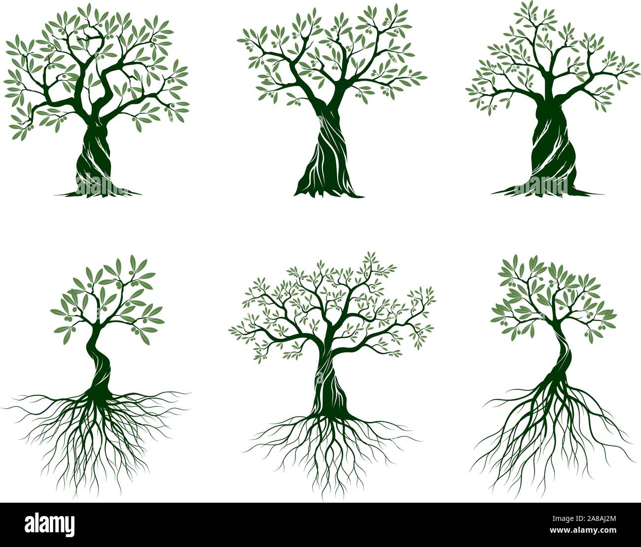 Set di isolati verdi olivi su sfondo bianco. Illustrazione Vettoriale e concetto pittogramma. Impianto in giardino. Illustrazione Vettoriale