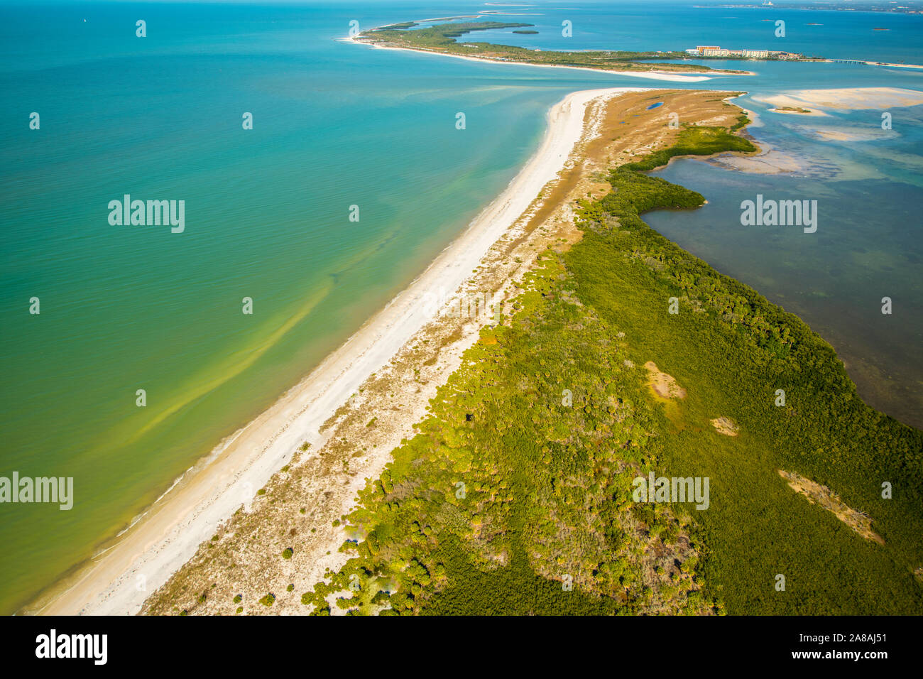 Caladesi Island State Park, Florida. Southwest Florida vicino a Clearwater Beach, Golfo del Messico Foto Stock