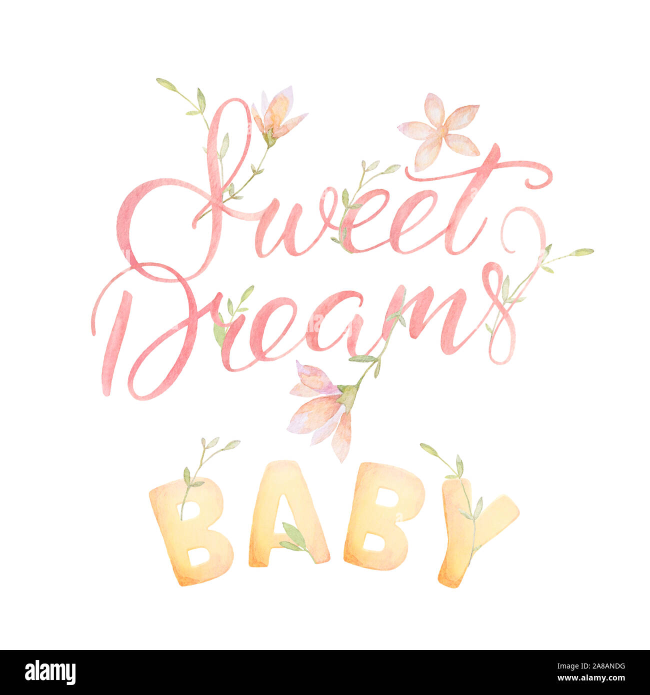 Sweet Dreams Baby. Lettering. Fiori di Bosco. Acquerello. Sfondo bianco. La qualità di stampa. Foto Stock