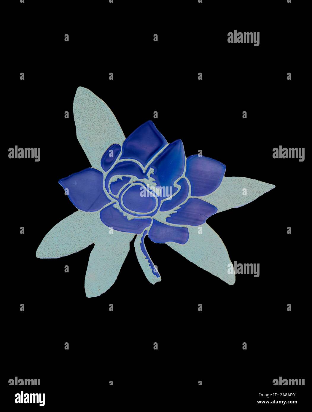 La Mississippi Magnolia (Magnolia grandiflora), gazzetta ufficiale dello stato fiore, 'La Magnolia Stato." Foto Stock