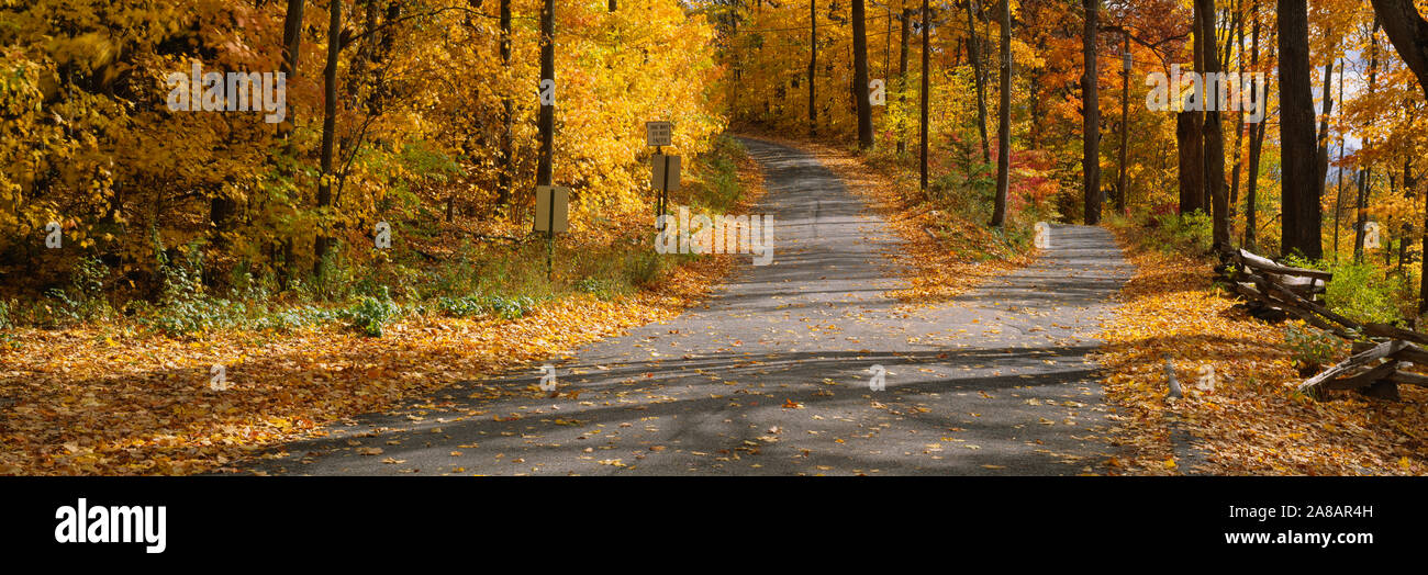 Foglie di autunno sulla strada, Connecticut, Stati Uniti d'America Foto Stock