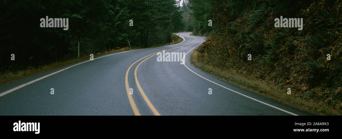 Autostrada passando attraverso una foresta, Mt. Baker autostrada, Bellingham, nello Stato di Washington, USA Foto Stock