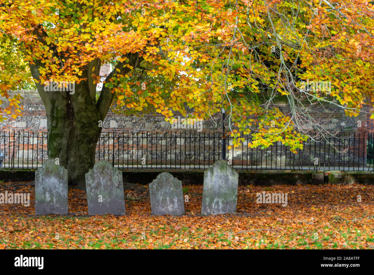 Quattro vecchie lapidi sotto una vecchia quercia in autunno o cadere circondato da foglie di colore marrone Foto Stock