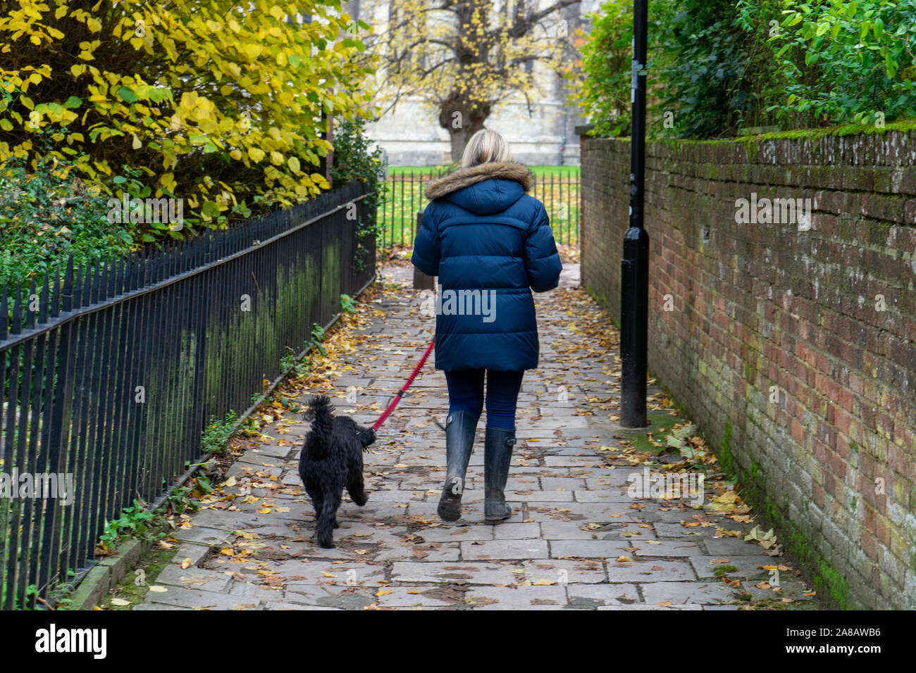 Una donna in un cappotto invernale e wellies camminando il suo cane attraverso un vicolo in autunno Foto Stock