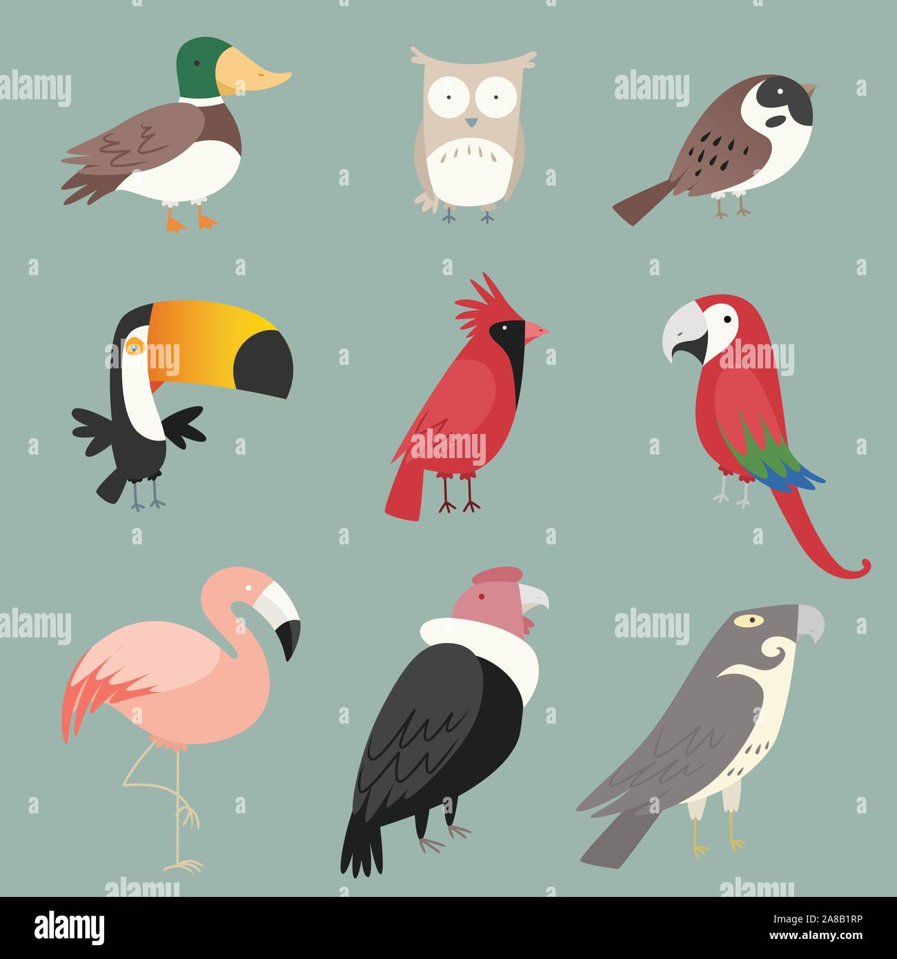 Cartoon specie raccolta di uccelli. Con nove (9) diverse specie di uccelli come: duck, OWL, pavone, ROOSTER, Pelican, toucan e swan illustrazione vettoriale Illustrazione Vettoriale