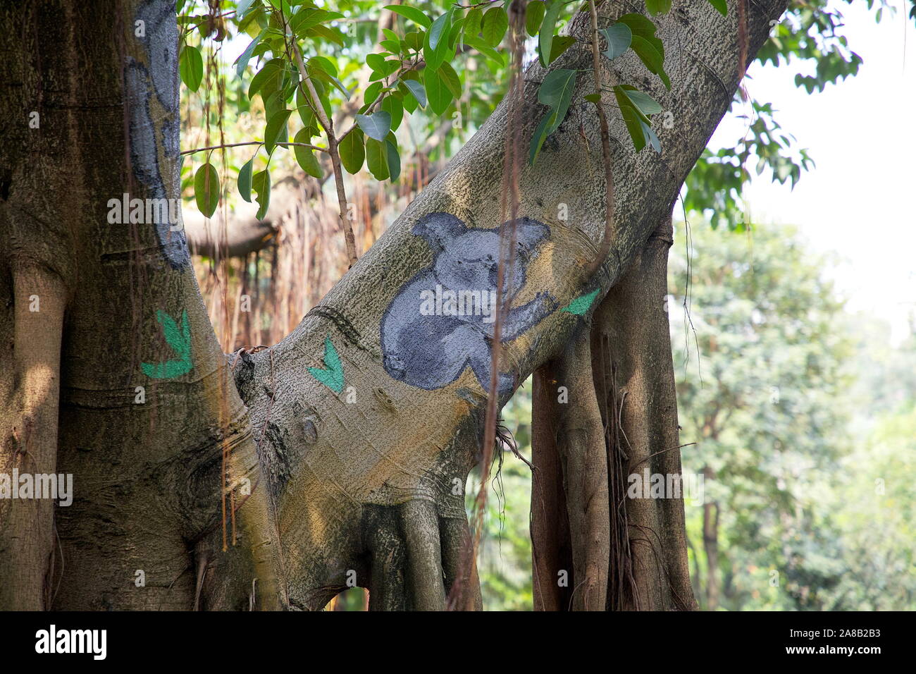 Il Koala Paint Foto Stock