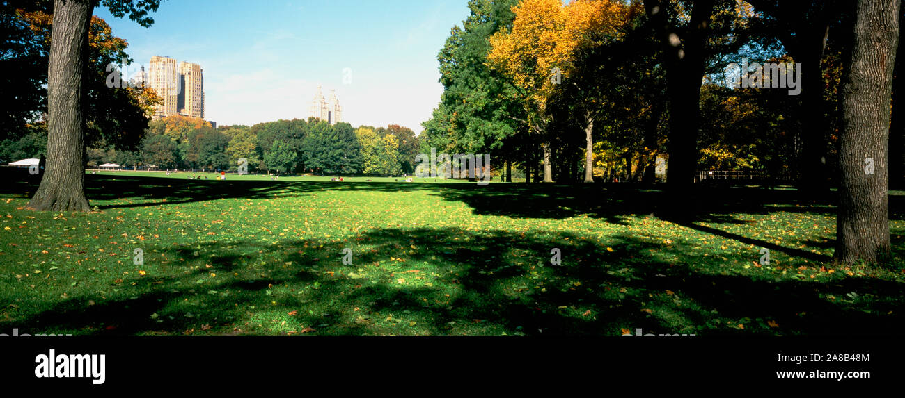 Alberi in un giardino, Central Park, Manhattan, New York, New York, Stati Uniti d'America Foto Stock