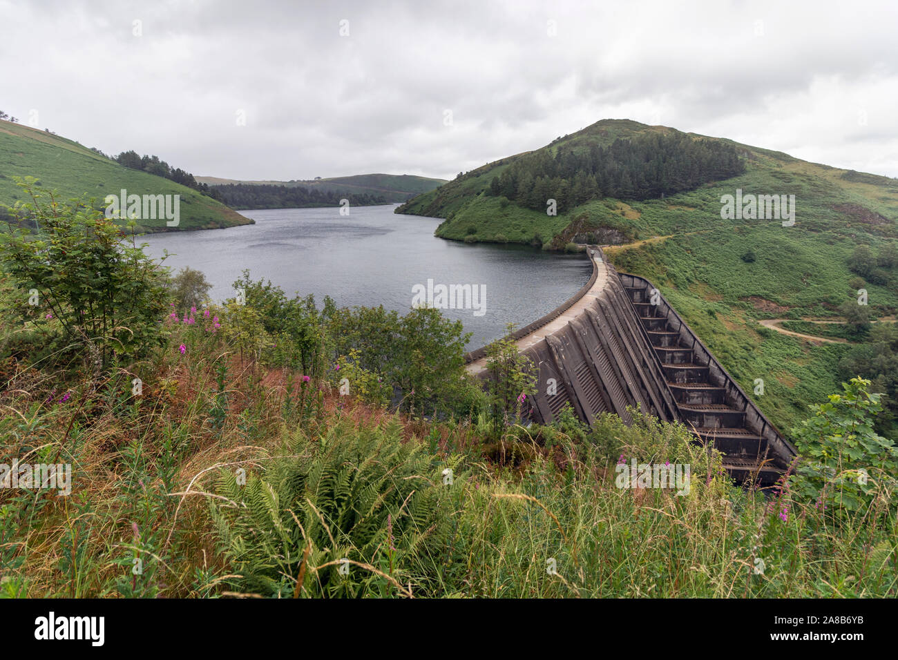 Llyn Clywedog Dam in Powys, il Galles Centrale Foto Stock