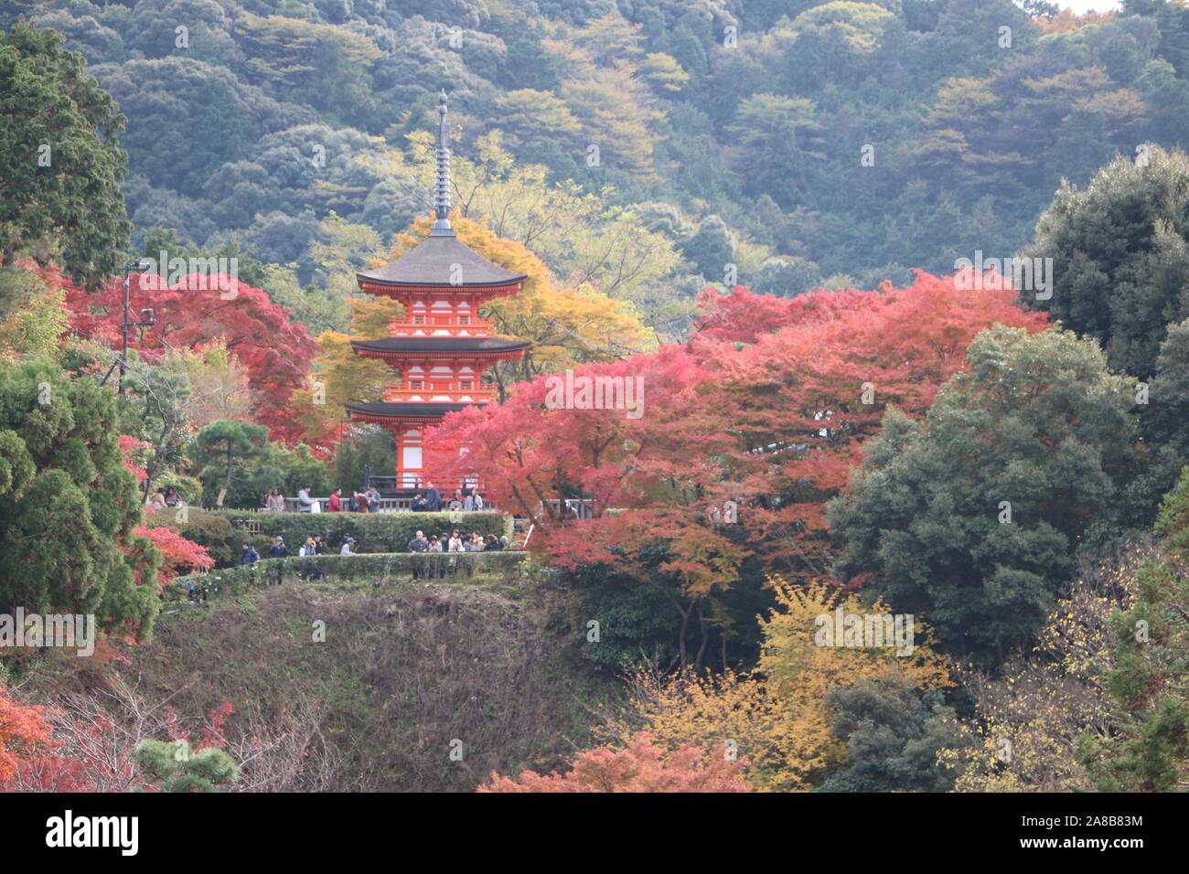 Kiyomizu-dera tempio Foto Stock