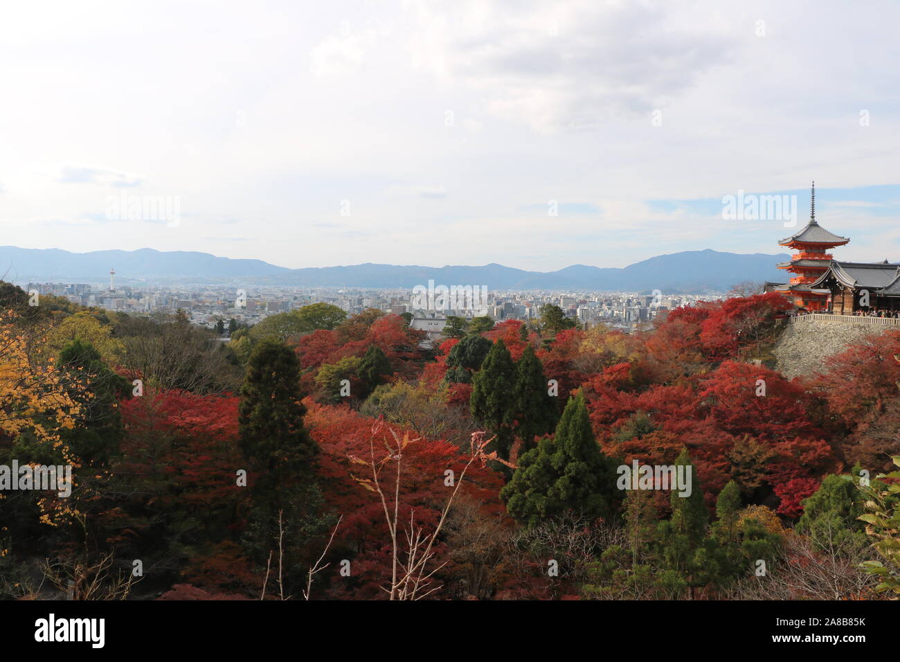 Kiyomizu-dera tempio Foto Stock