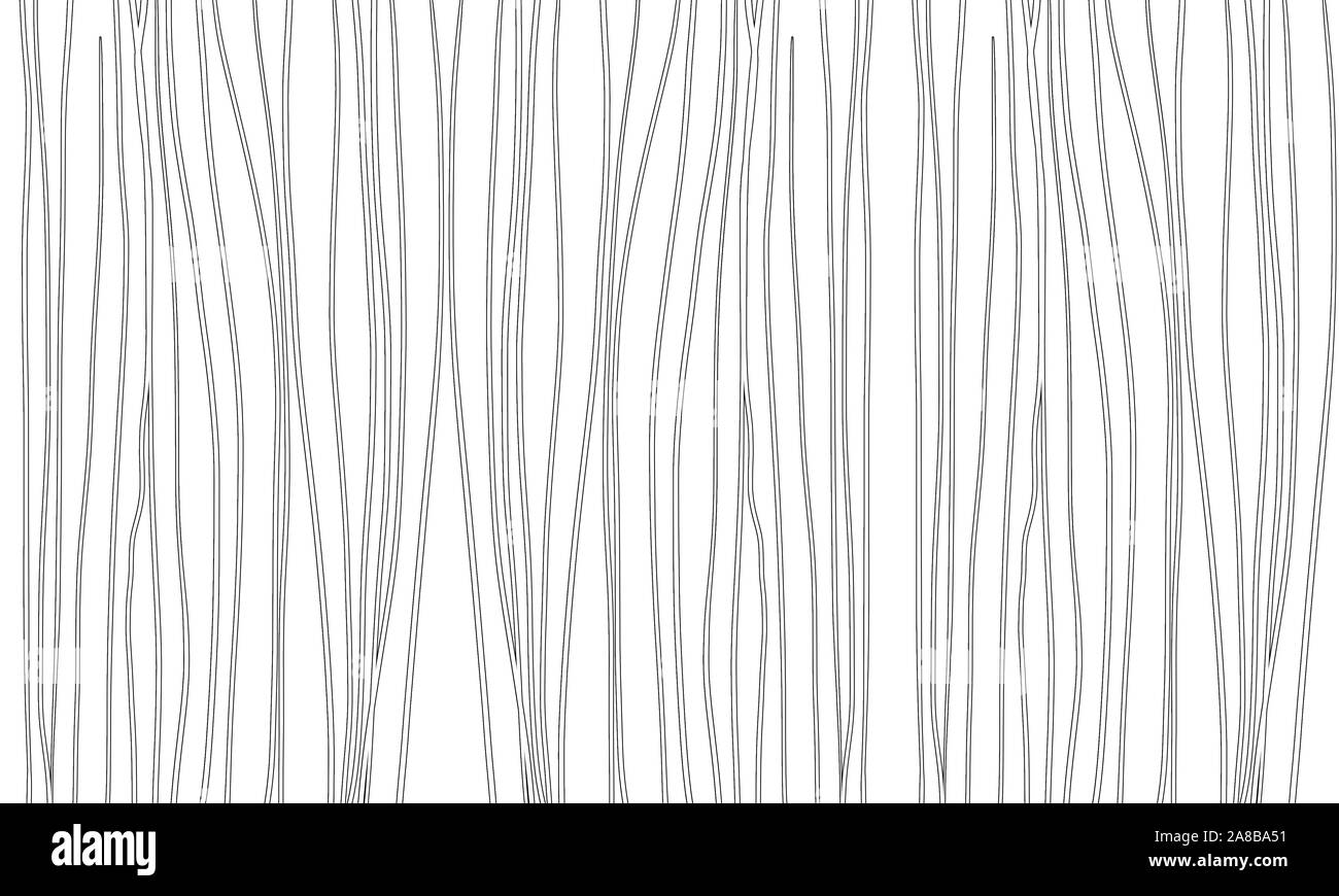 Astratto struttura perfetta linea di crescita natura texture pattern design sfondo immagine sfondo Foto Stock