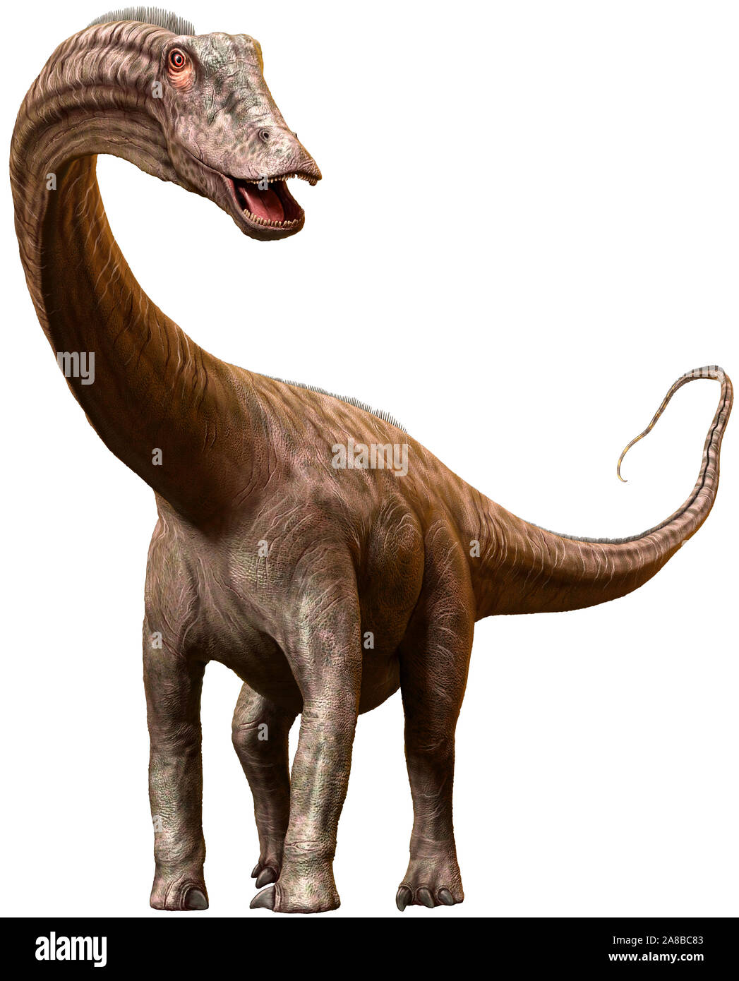 Diplodocus dinosaur dall'era giurassica 3D illustrazione Foto Stock