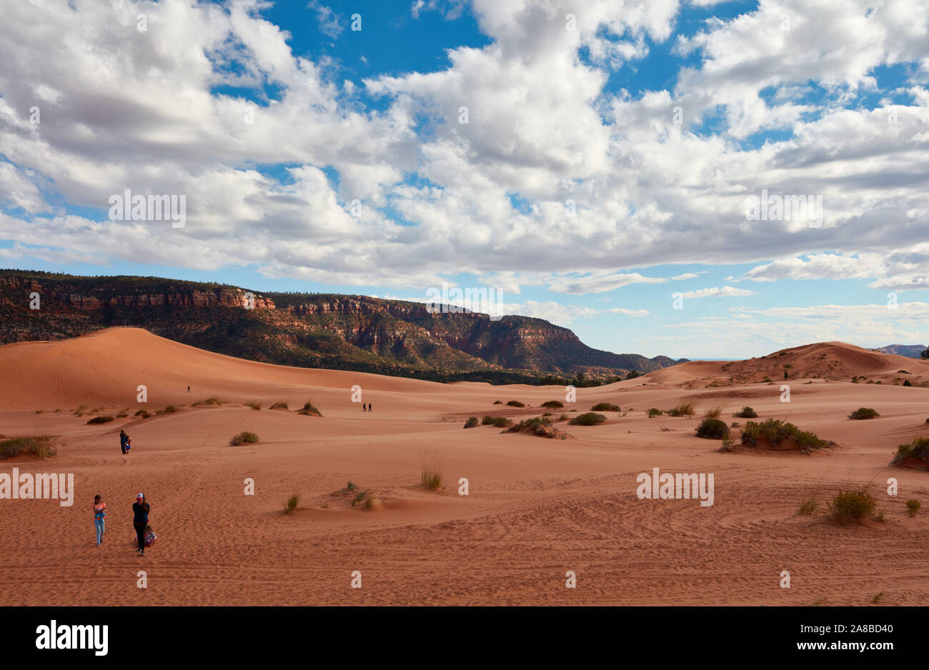 La gente che camminava nelle dune a Coral Pink Sand Dunes State Park, Kanab, Utah Foto Stock