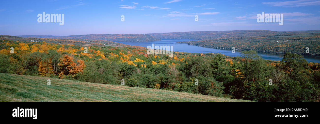 Forest a lago, lago Keuka, Finger Lakes, nello Stato di New York, Stati Uniti d'America Foto Stock