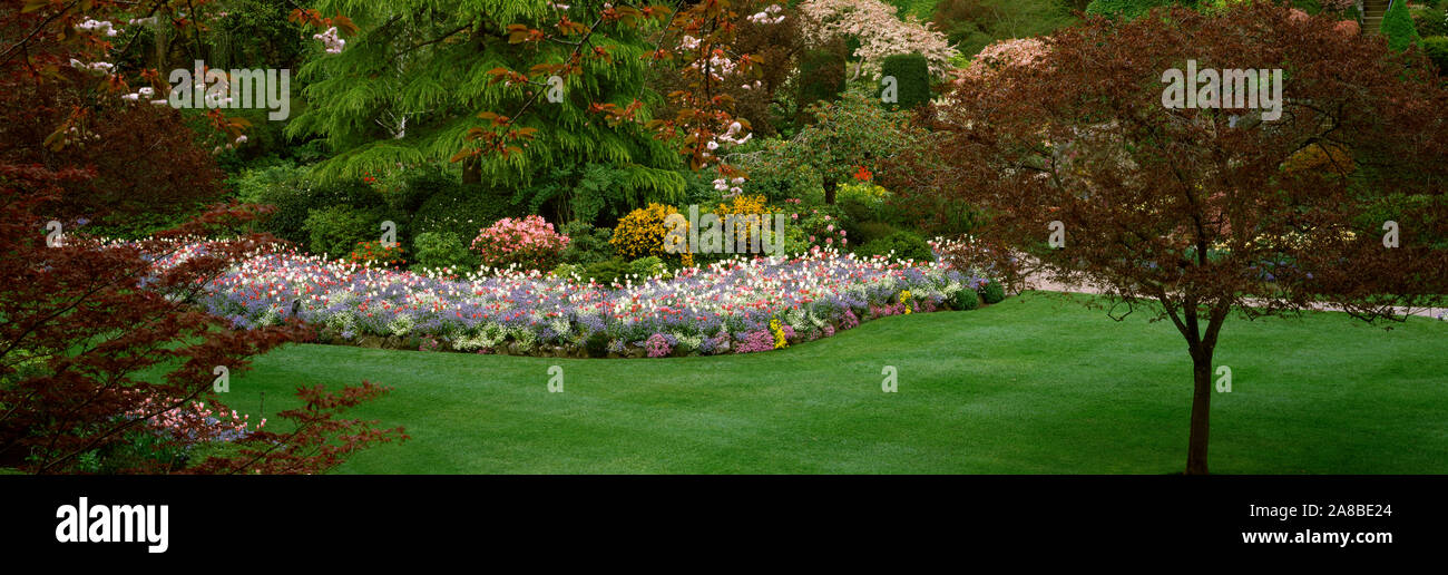 Fiori in un giardino, Butchart Gardens, Brentwood Bay, l'isola di Vancouver, British Columbia, Canada Foto Stock