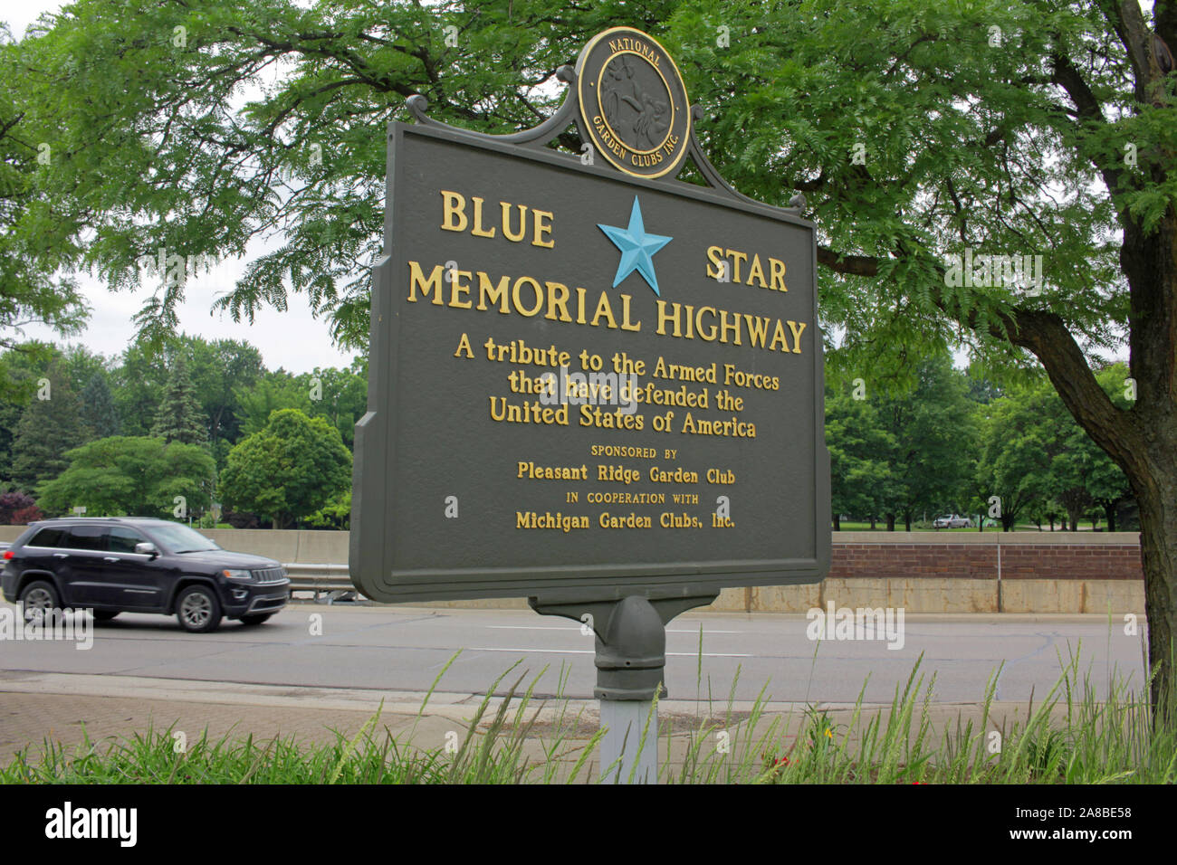 Blue Star Memorial Highway segno, piacevole Ridge, Michigan, Stati Uniti d'America Foto Stock