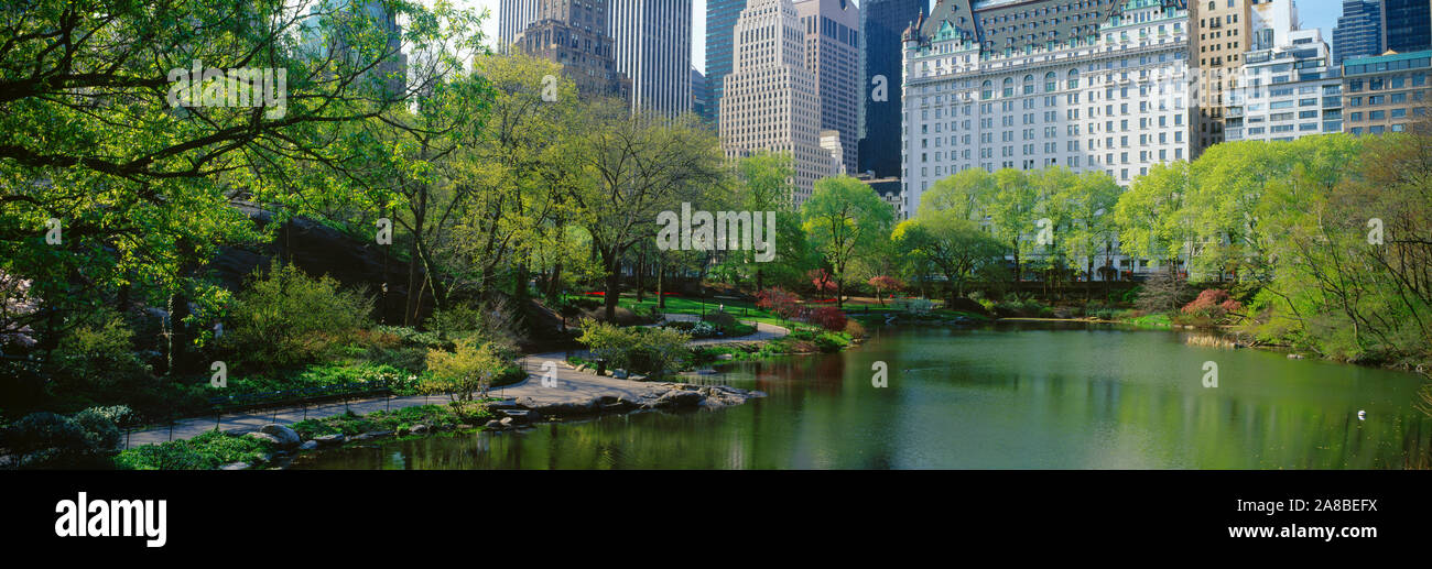 Stagno in un parco, Central Park South Central Park, Manhattan, New York City, nello Stato di New York, Stati Uniti d'America Foto Stock