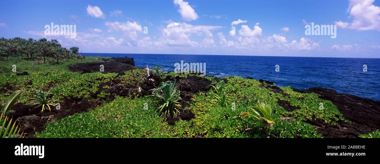 Giardino botanico al litorale, Kahanu Giardino Tropicale nazionale Giardino Botanico, Maui, Hawaii, STATI UNITI D'AMERICA Foto Stock