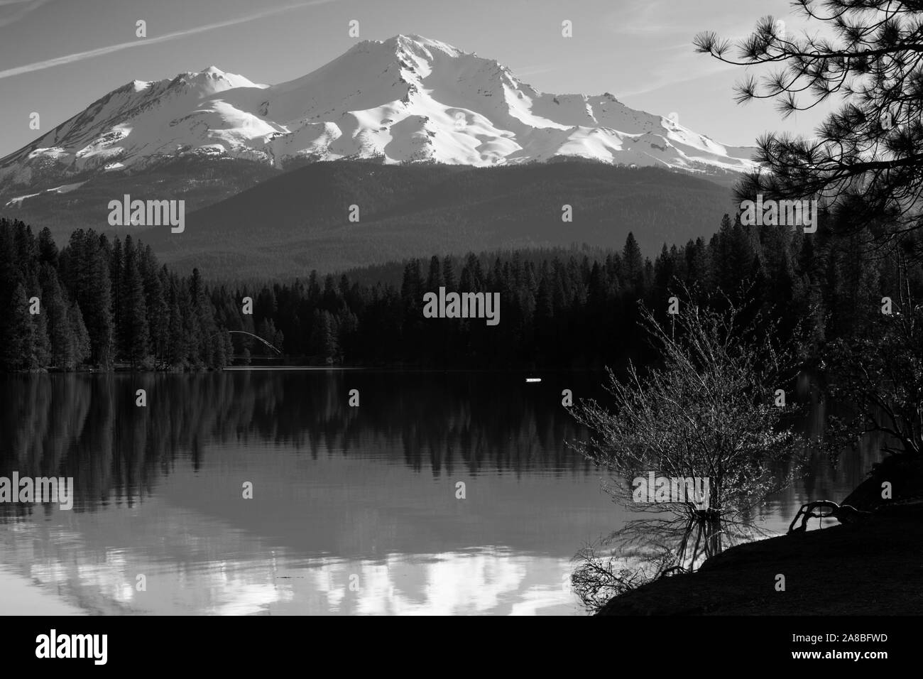 Vista del lago e del Monte Shasta, Siskiyou County, California, Stati Uniti d'America Foto Stock