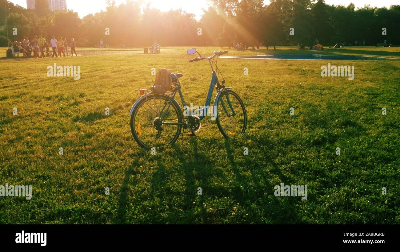 Biciclette blu in piedi sul prato verde sotto il sole con ombra su erba nel parco sul giorno di estate con le persone sullo sfondo. Foto Stock