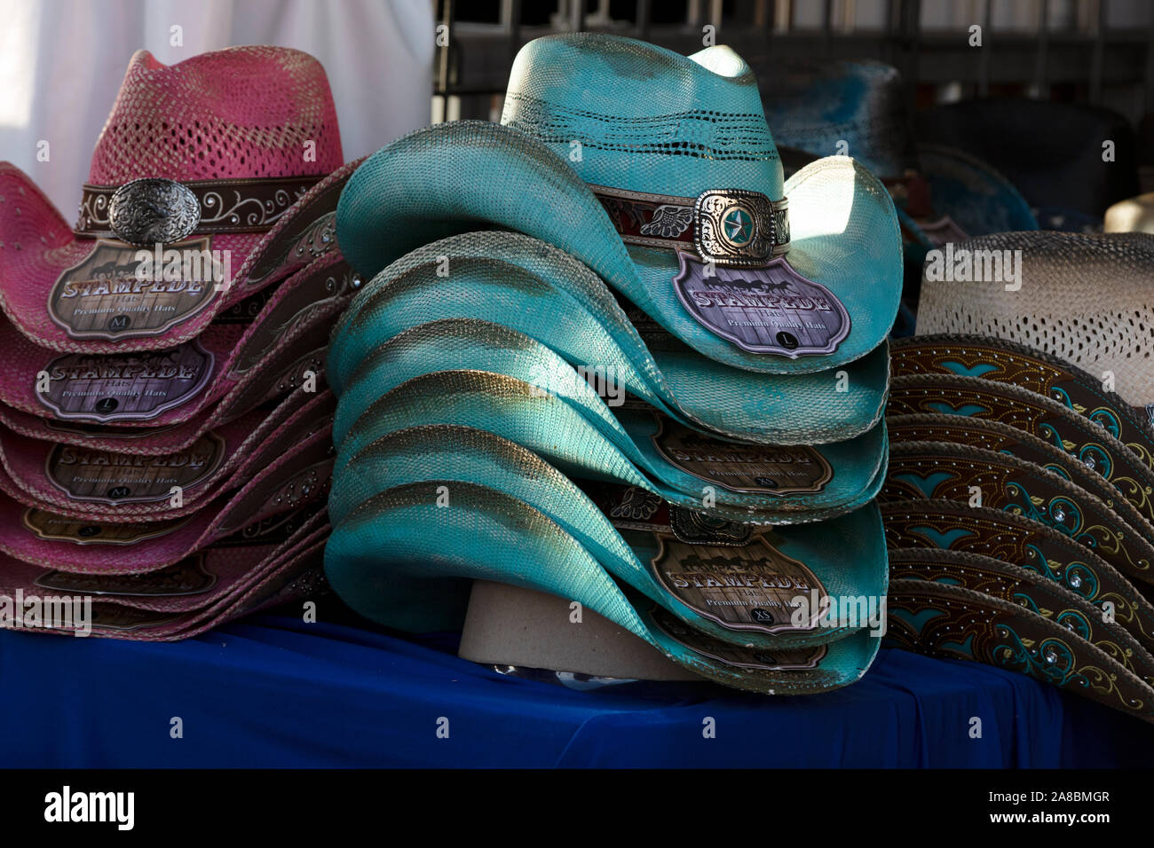Cappelli da cowboy in un negozio, il circuito delle Americhe shop, Austin in Texas Foto Stock