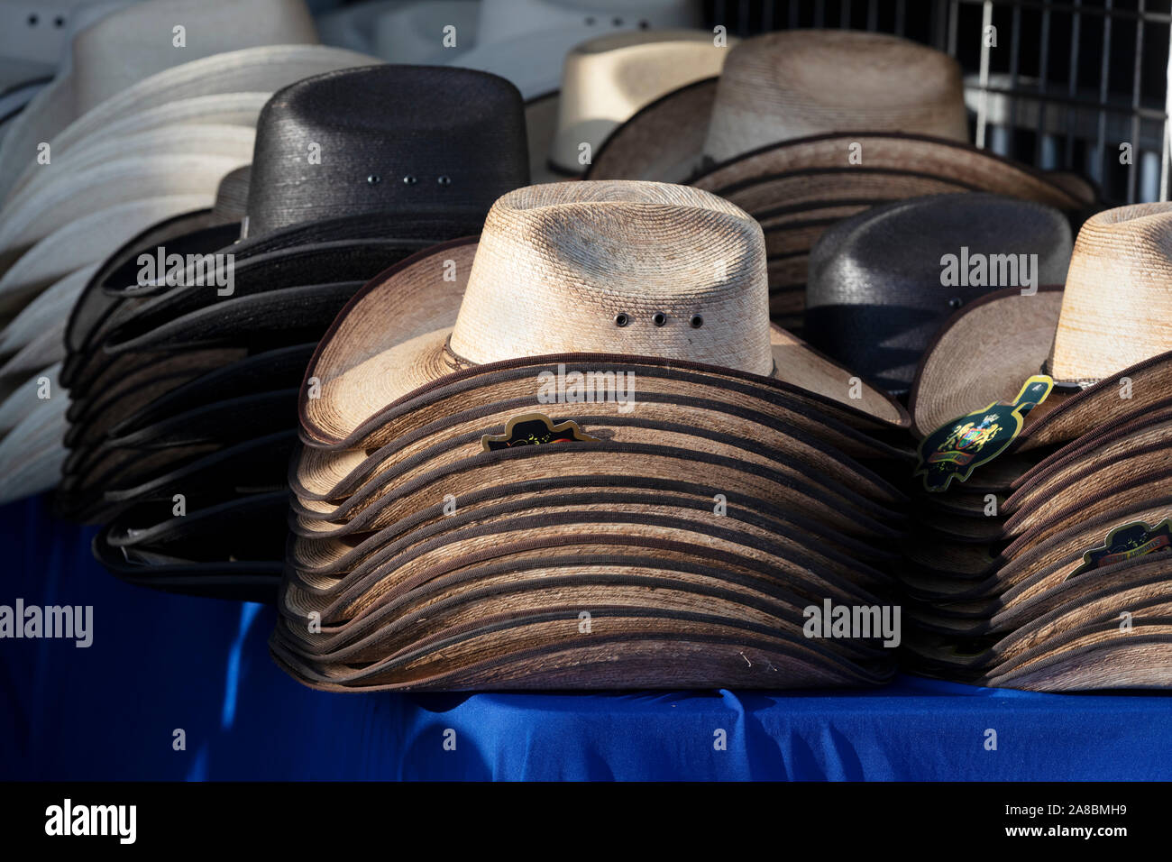 Cappelli da cowboy in un negozio, il circuito delle Americhe shop, Austin in Texas Foto Stock