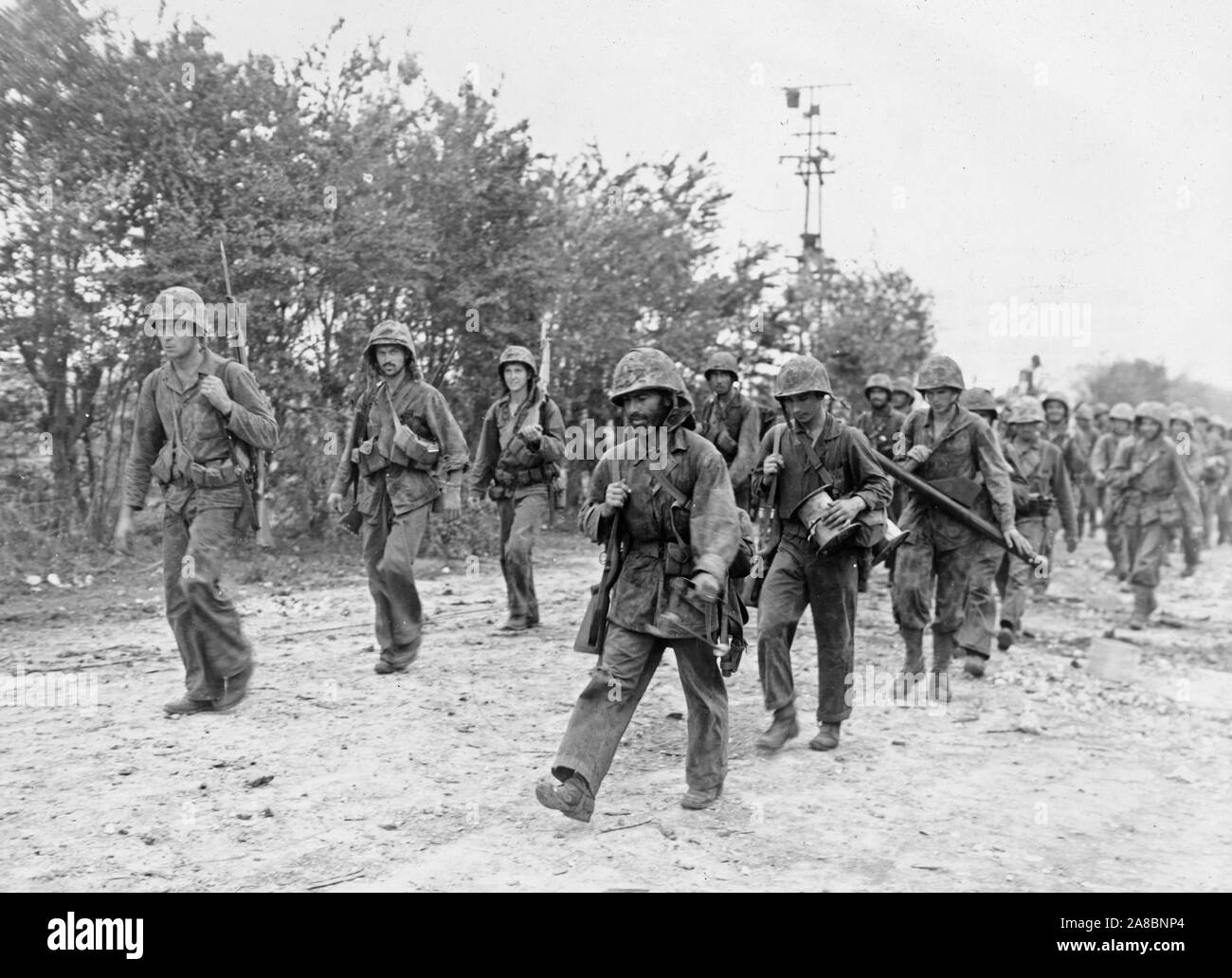 Seconda divisione marine, veterinari di Guadalcanal e Tarawa, su una breve tregua prima di tornare a lottare per adottare le ultime due miglia della punta di Saipan. Foto Stock