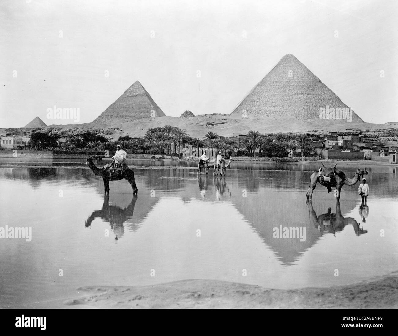 La foto mostra gli uomini sui cammelli e un uomo in piedi accanto a un cammello Nello shallow acqua di inondazione, con piramidi sullo sfondo, in Egitto. 1890-1900 Foto Stock