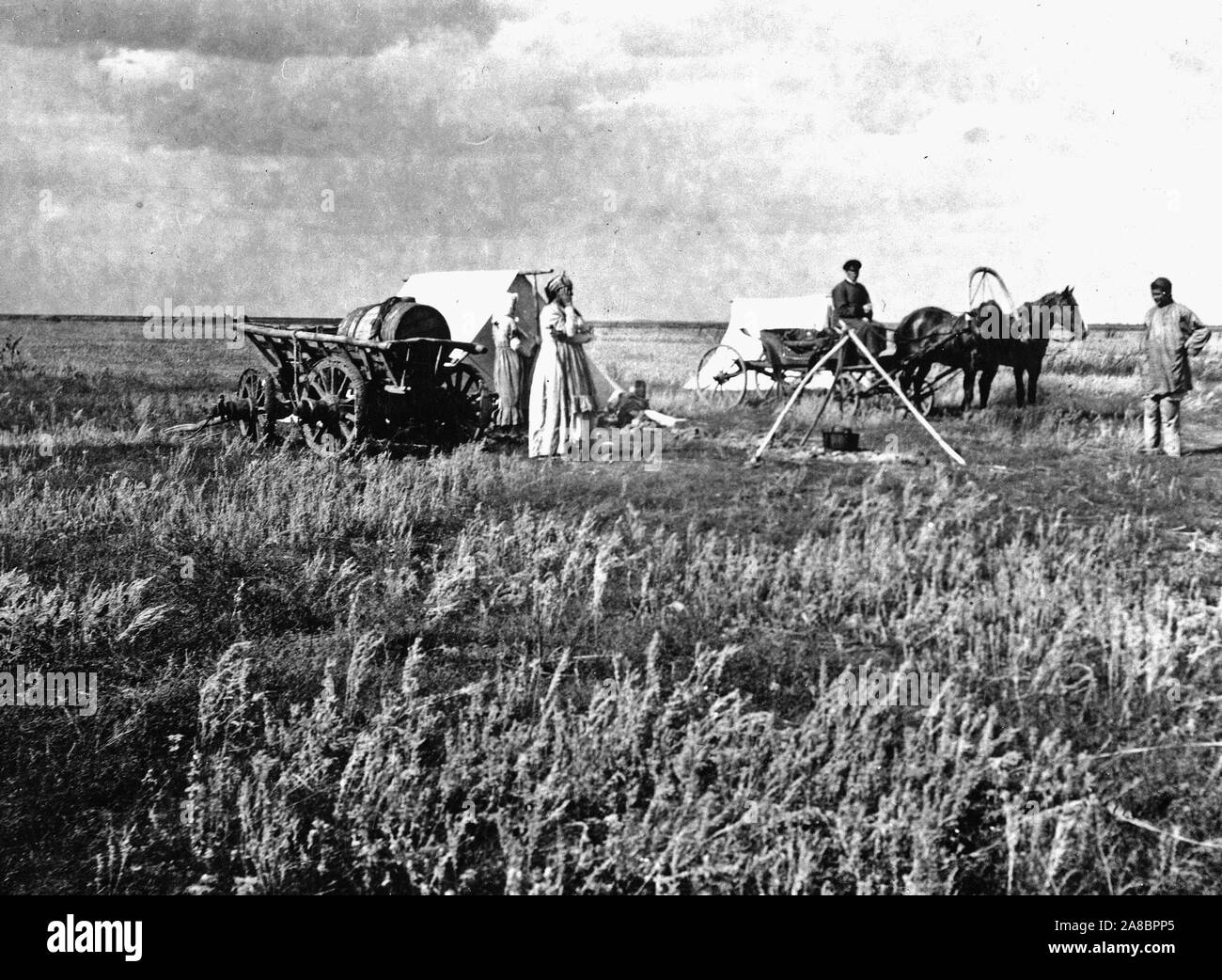 Fotografia, didascalia: 'russo campo di grano in cui impianto USDA esploratori trovate le varietà di frumento da cui poi hanno allevato la malattia resistenti di frumento che ha salvato il grano crescente industria in Occidente". Foto Stock