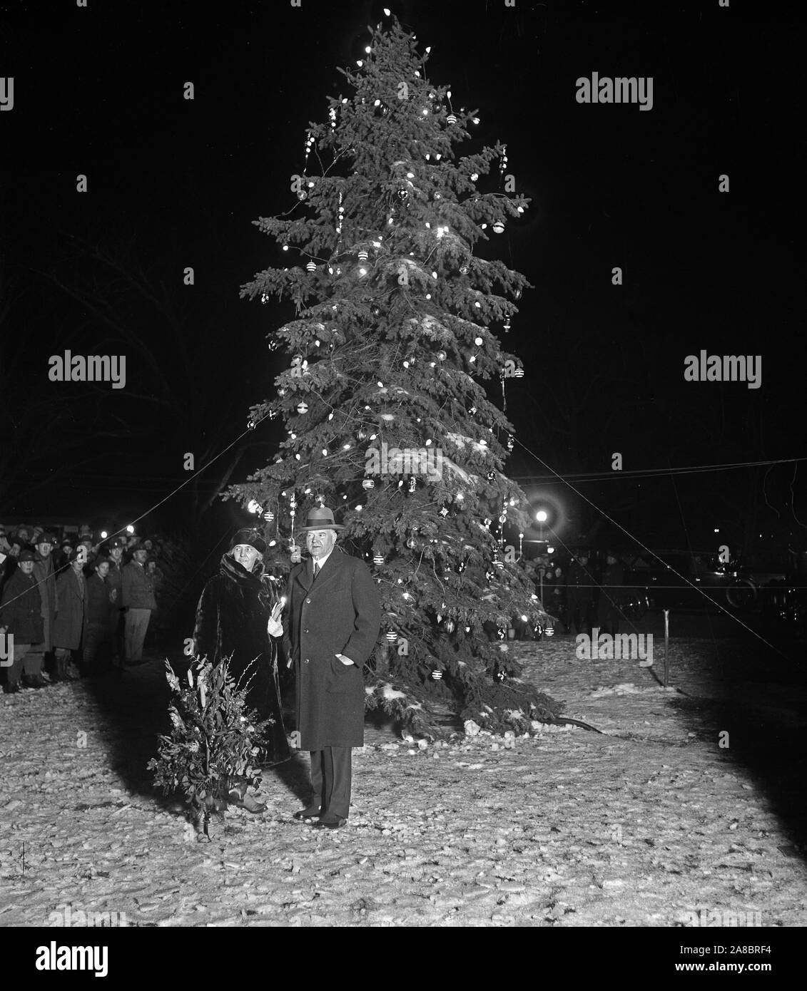 Presidente luci di Hoover capitale della nazione europea albero di Natale. Presidente Hoover ha premuto il pulsante che impostare la comunità albero di Natale della capitale nazionale istoriati con varie luci colorate stasera, la vigilia di Natale, 24 dicembre. Foto Stock