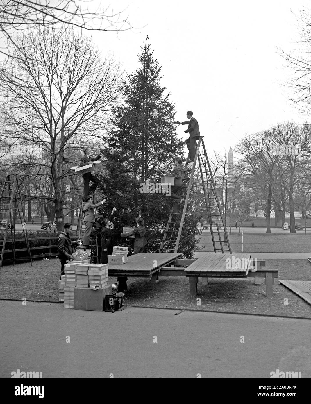 Comunità albero di Natale decorato. Washington D.C., dic. 23. La nazione della comunità di albero di Natale appena a nord della Casa Bianca è stato decorato da operai oggi in preparazione della sua illuminazione mediante il presidente Roosevelt domani sera, 12/23/37 Foto Stock
