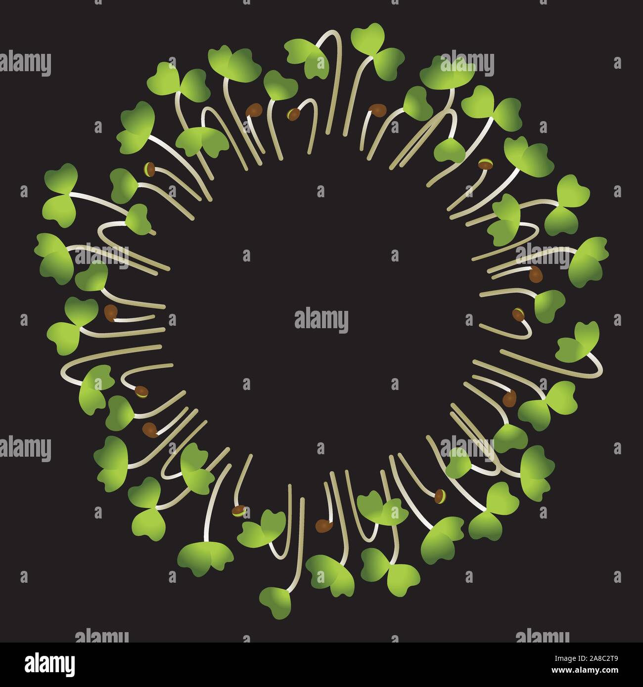 Microgreens senape. Disposti in un cerchio. Integratore vitaminico, cibo vegan. Sfondo nero Illustrazione Vettoriale