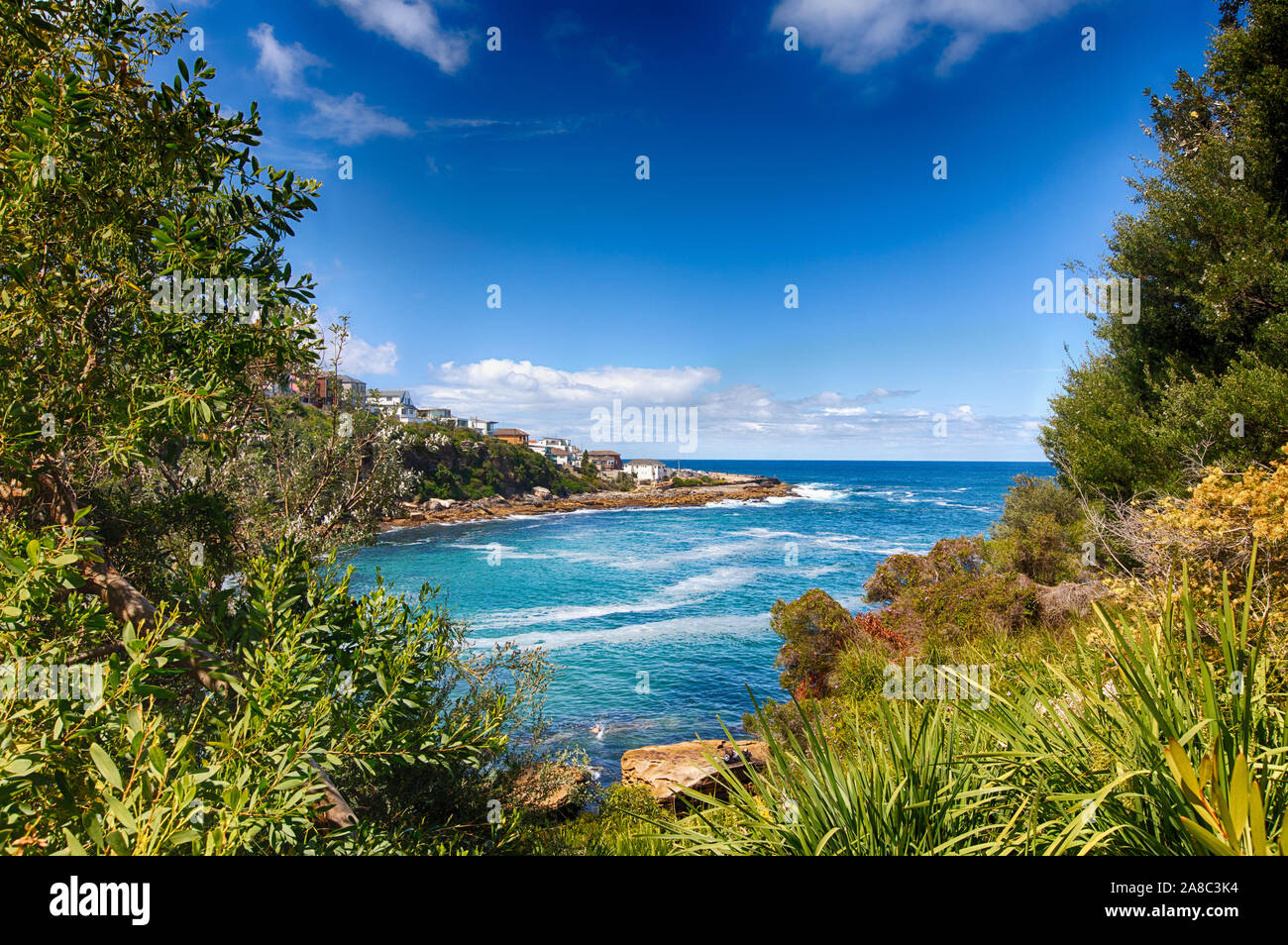 Per Bondi e Coogee a piedi vicino a Gordons Bay. Famoso sentiero nel Nuovo Galles del Sud, Sydney, Australia. Foto Stock