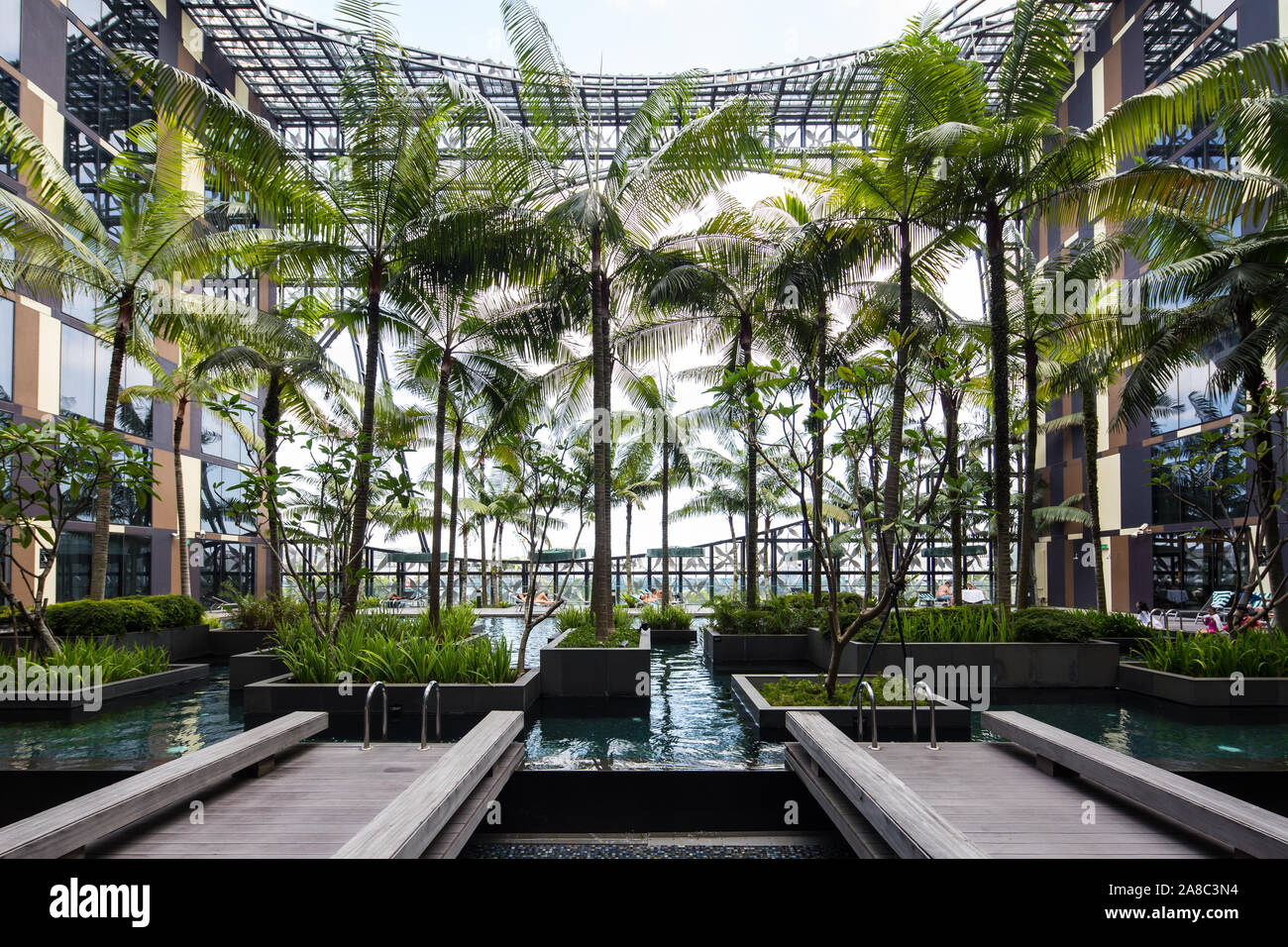 Giardino dell'area comune, design della piscina, struttura architettonica dell'hotel Crowne Plaza nell'aeroporto Changi T3, soggiorno di piacere. Singapore. Foto Stock