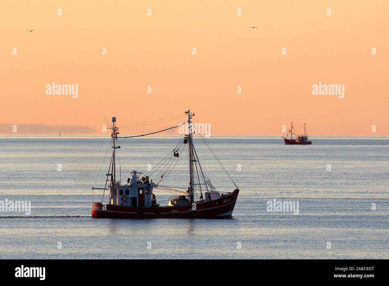 Barca da pesca sul viaggio di pesca nella luce della sera, costa del Mare del Nord, Schleswig-Holstein il Wadden Sea National Park, Schleswig-Holstein, Germania Foto Stock