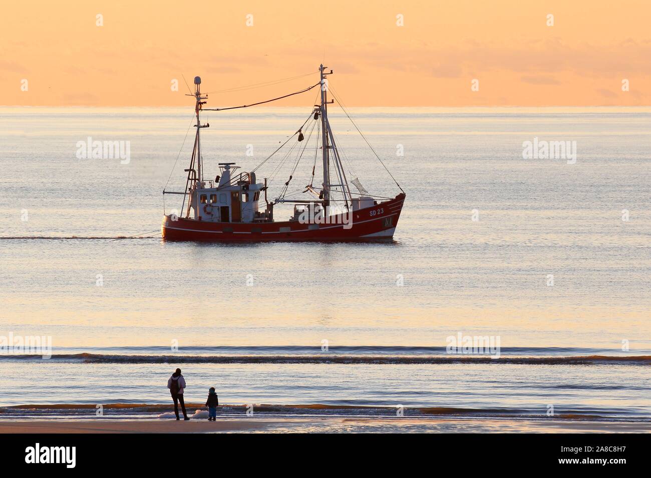 Barca da pesca sul viaggio di pesca nella luce della sera, costa del Mare del Nord, Schleswig-Holstein il Wadden Sea National Park, Schleswig-Holstein, Germania Foto Stock