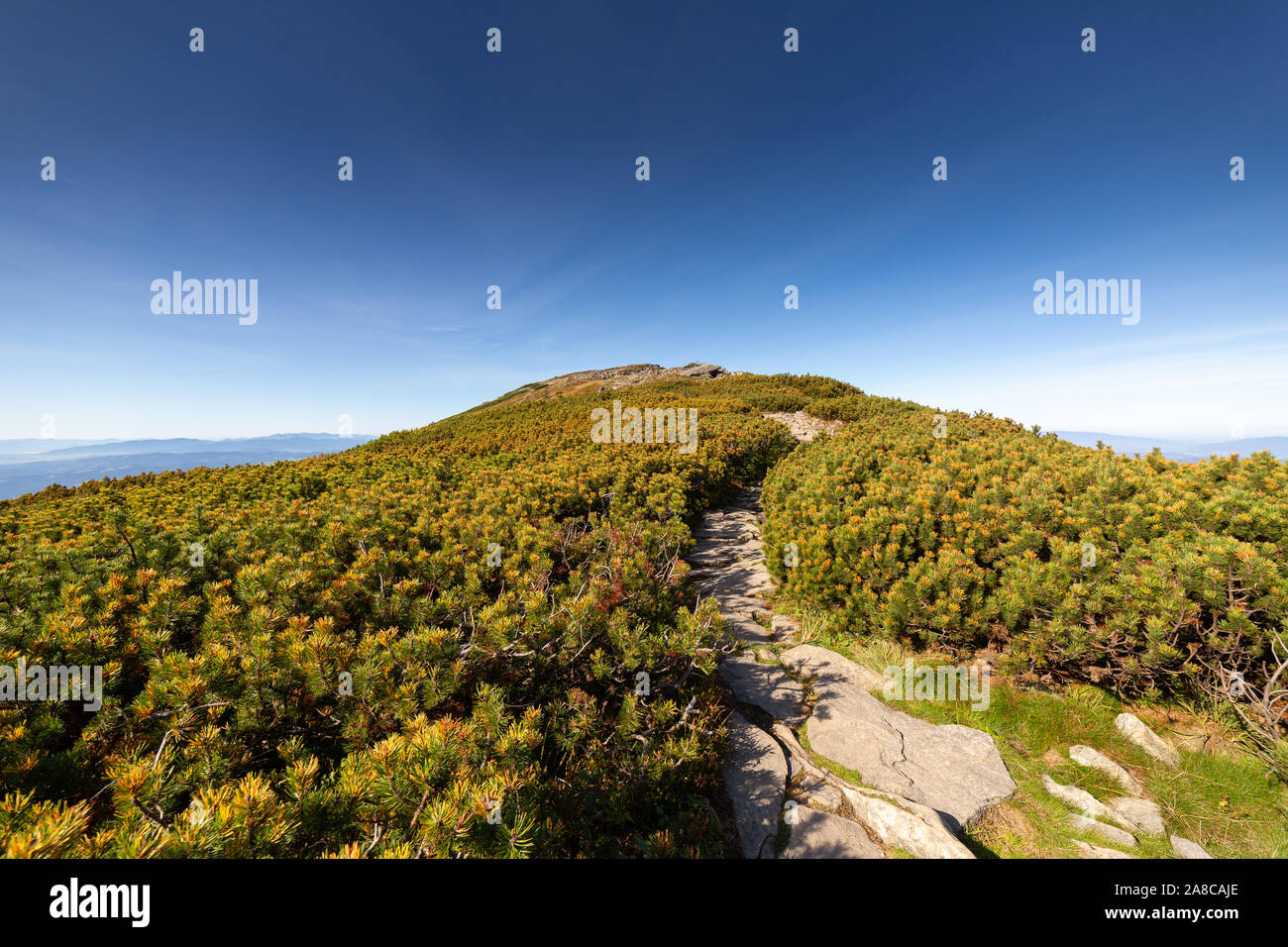 Sentiero escursionistico di Babia Gora mountain Foto Stock