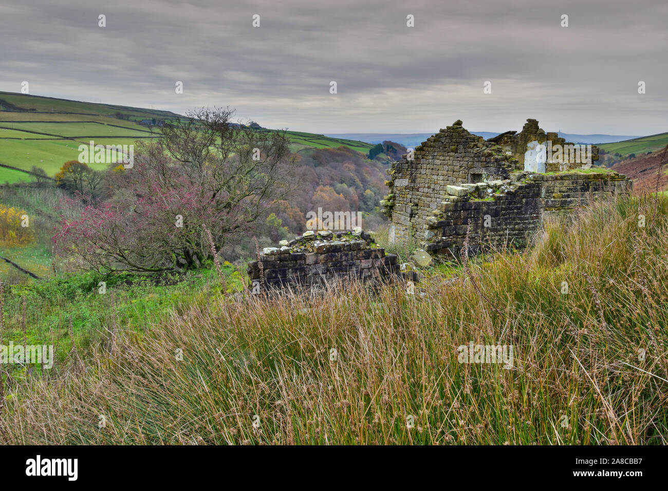 Albero di biancospino e fienile rovina, Autunno in Crimsworth Dean, Hebden Bridge, Calderdale, West Yorkshire Foto Stock