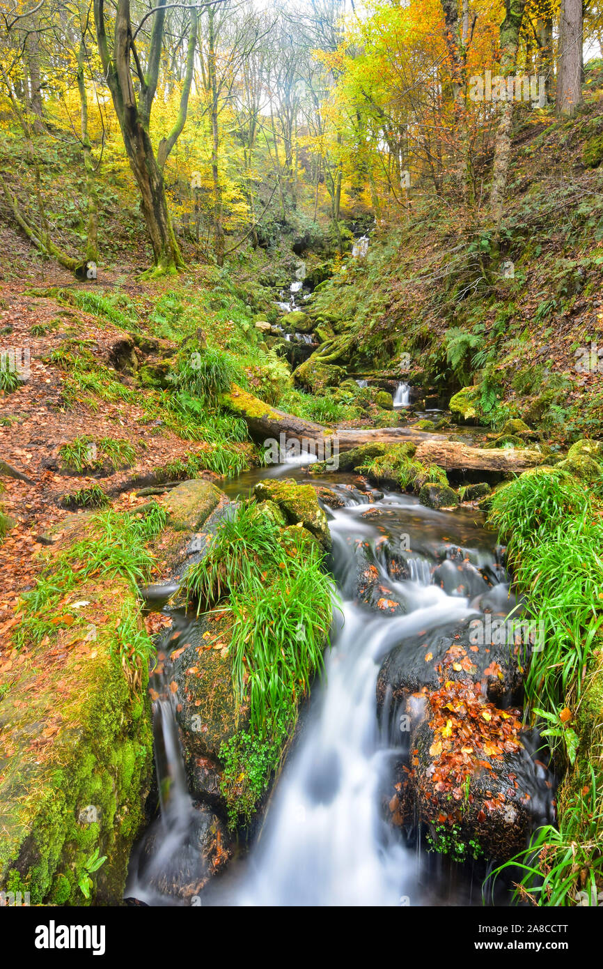 Autunno in Hardcastle Crags, Hebden Bridge, West Yorkshire Foto Stock