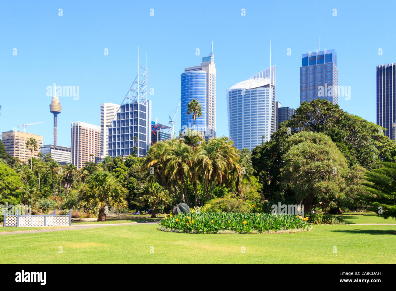 Vista del quartiere centrale degli affari dal Royal Botanical Gardens, Sydney, Nuovo Galles del Sud, Australia Foto Stock