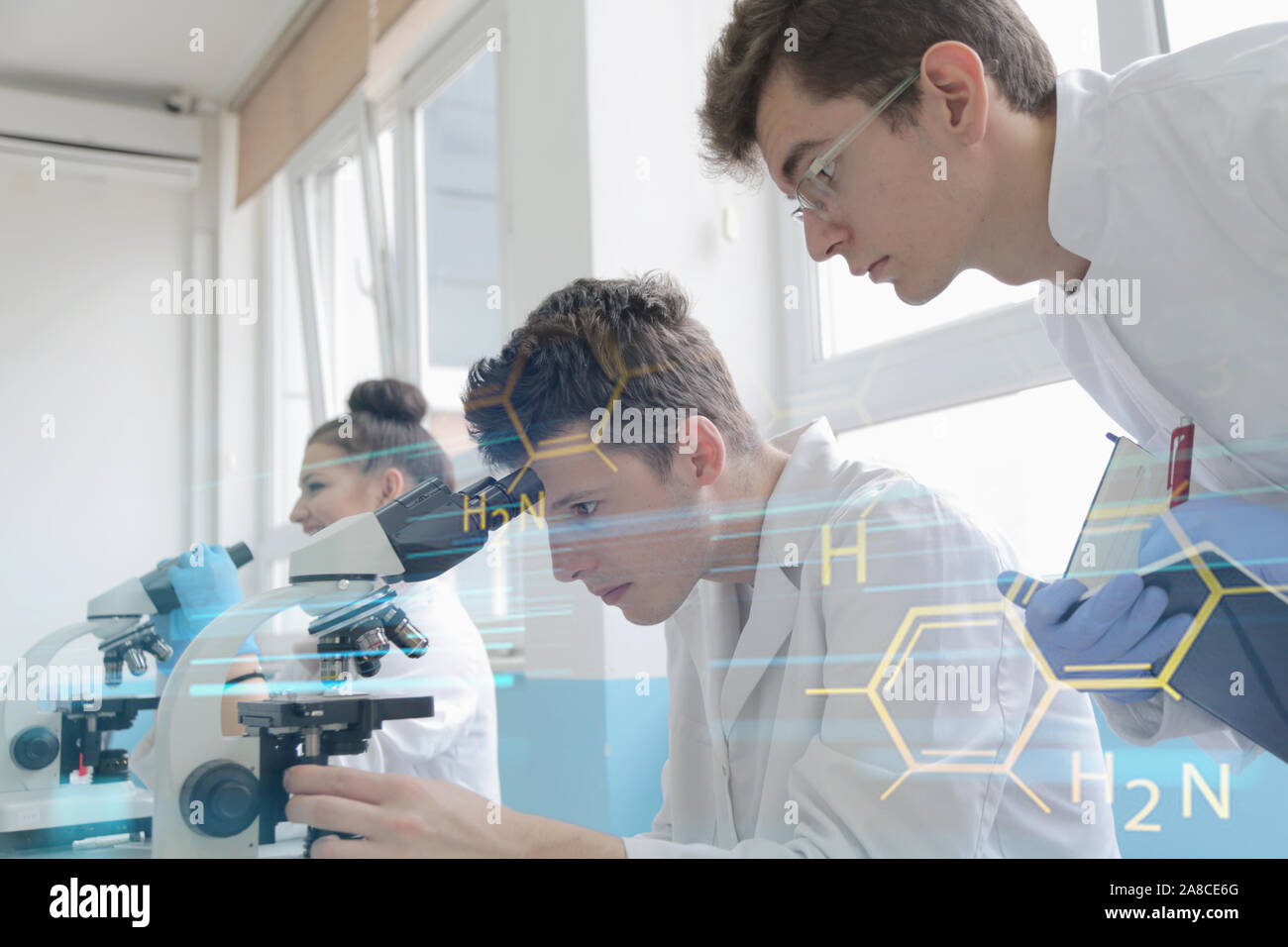 Un gruppo di giovani scienziati di laboratorio lavora presso il laboratorio con provette e microscopio, di test o di ricerca in laboratorio clinico. La scienza chimica, biolo Foto Stock