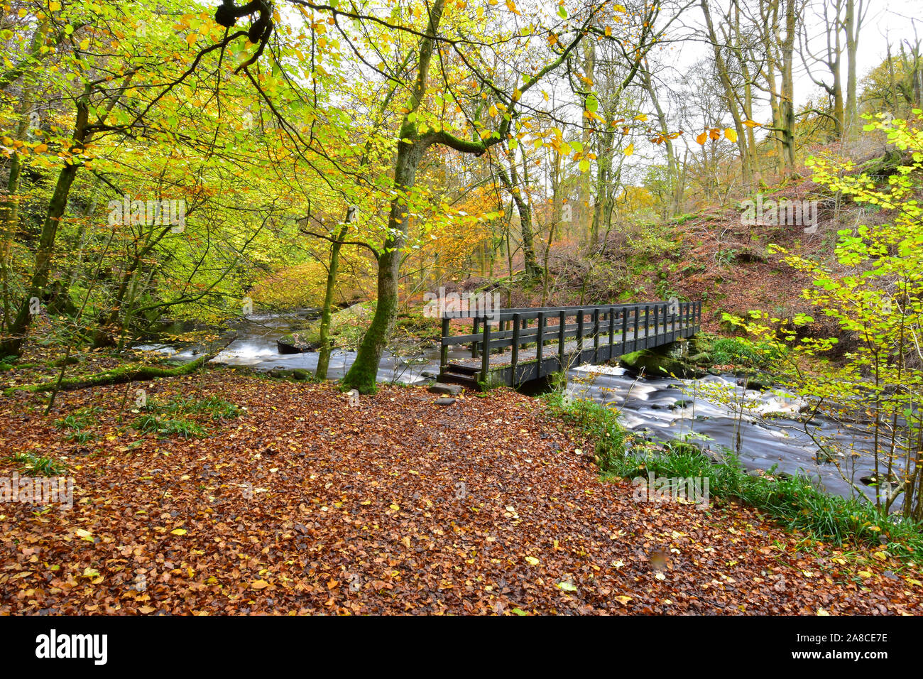 Autunno in Hardcastle Crags, Hebden Bridge, West Yorkshire Foto Stock