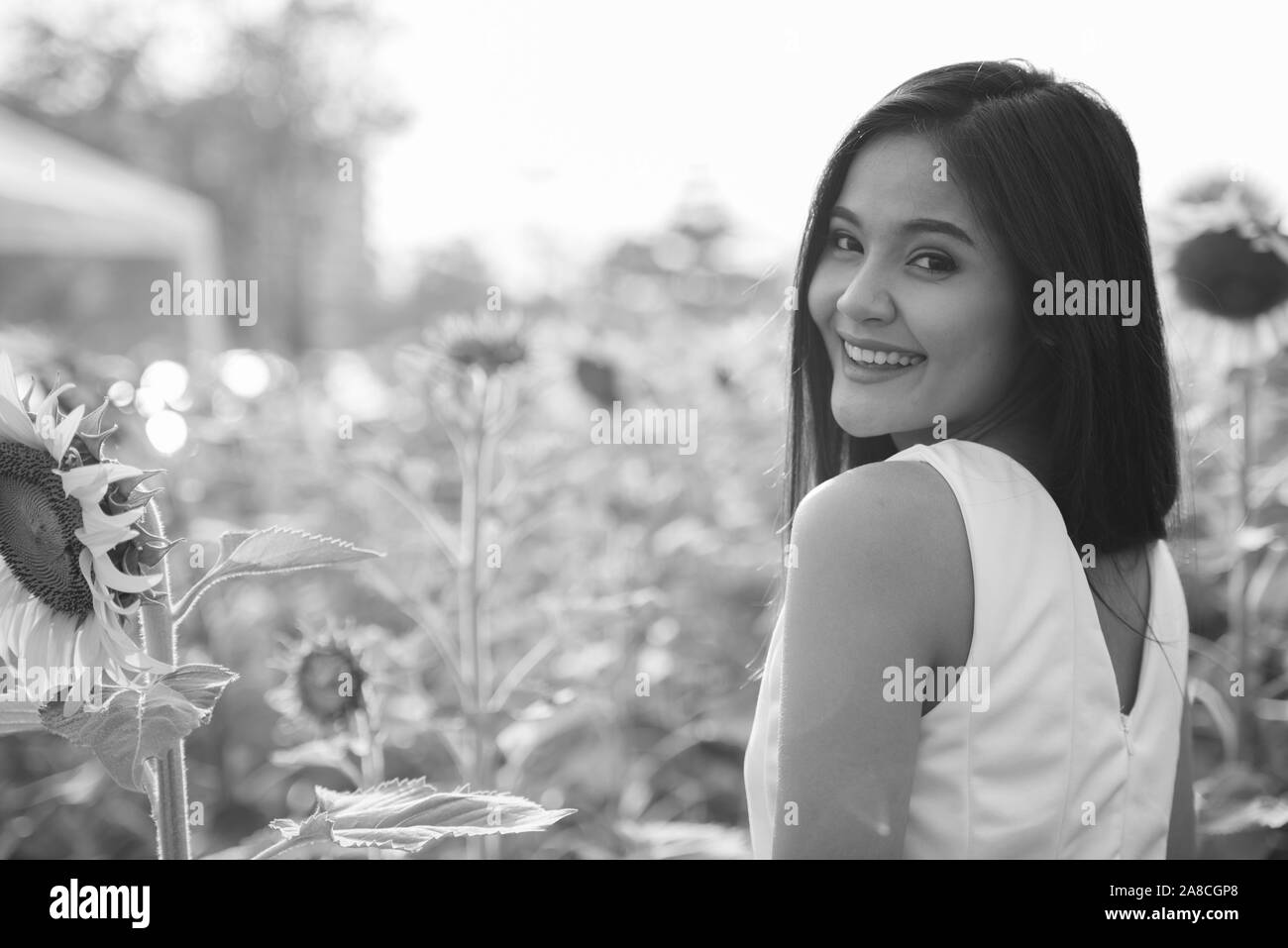 Felice giovane donna asiatica sorridente e guardando indietro nel campo di girasoli in fiore Foto Stock