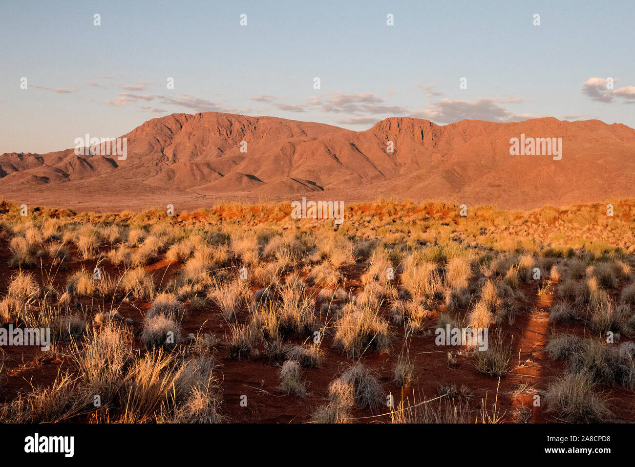 Il vasto deserto del Namib in Namibia Foto Stock
